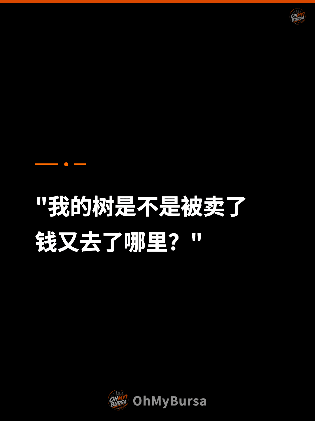 "我的树是不是被卖了 钱又去了哪里？"