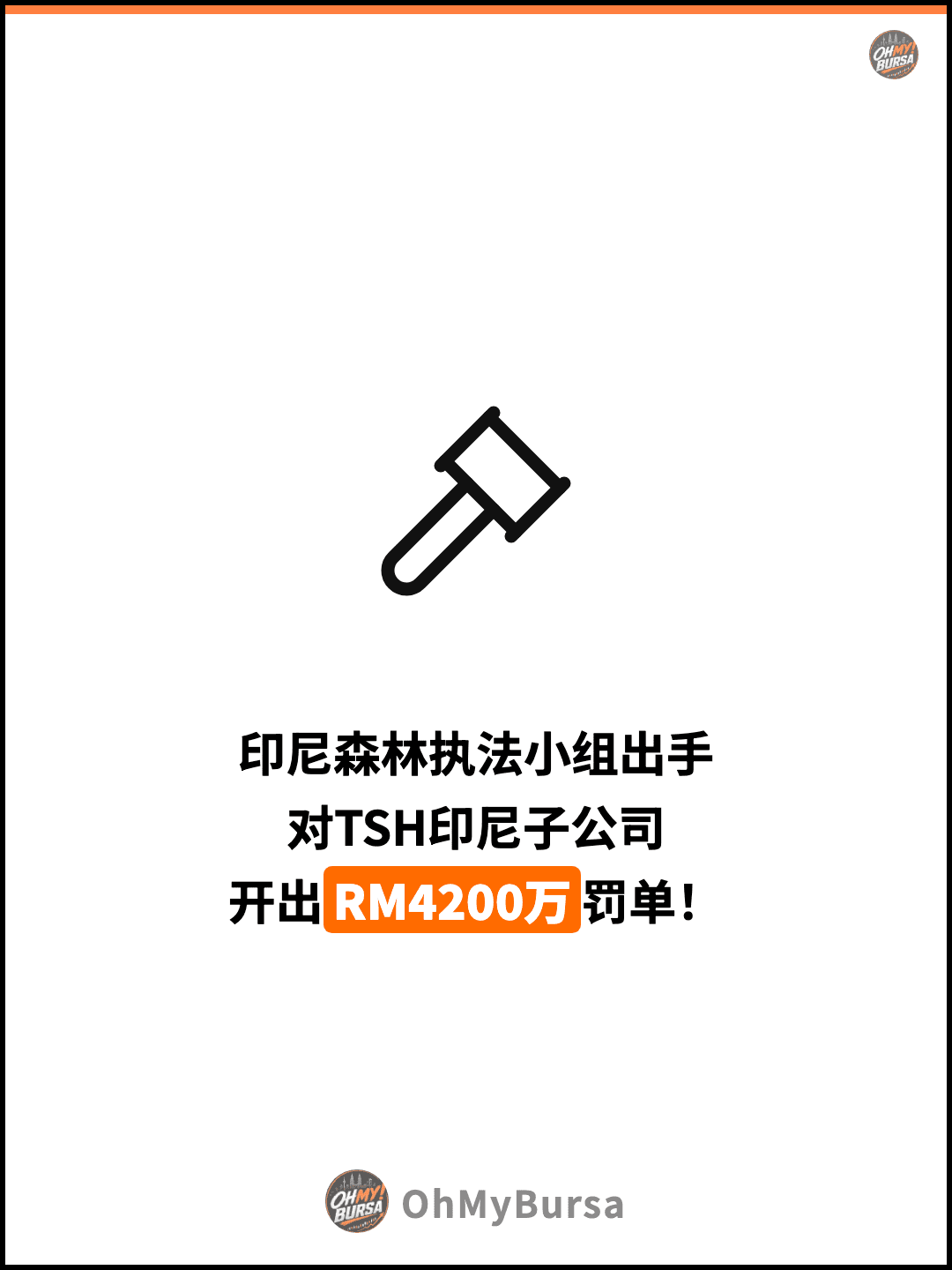 印尼森林执法小组出手 对TSH印尼子公司 开出RM4200万罚单！